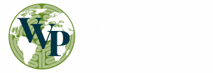 Virtual Visiting Professor